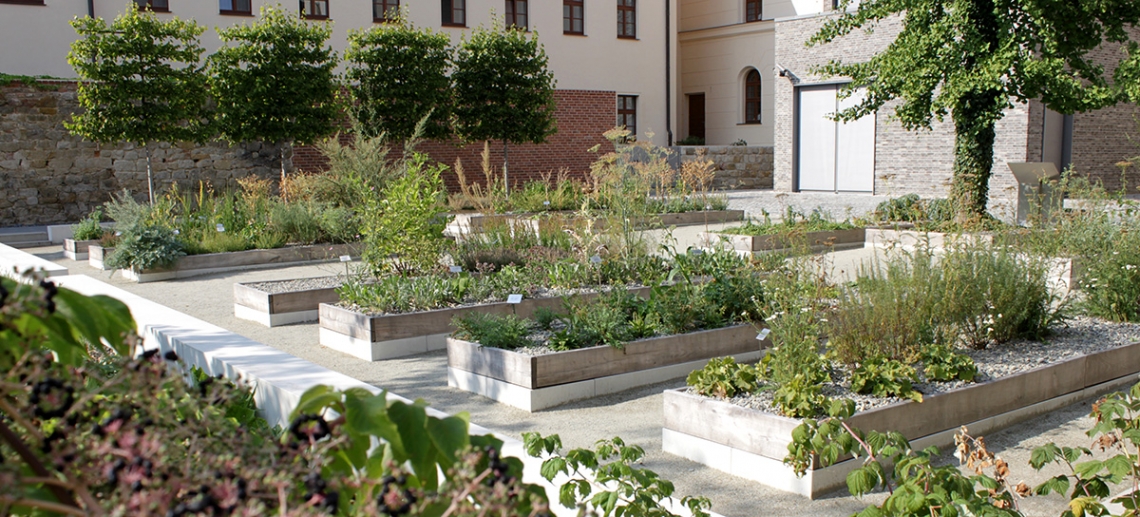 Melanchthon's herb garden