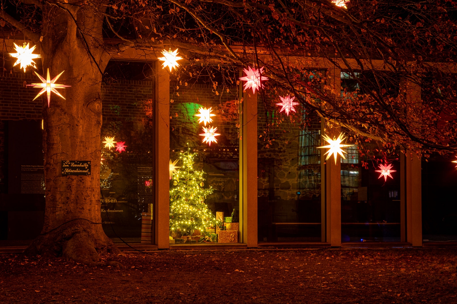 weihnachtliche Beleuchtung im Lutherhof Wittenberg