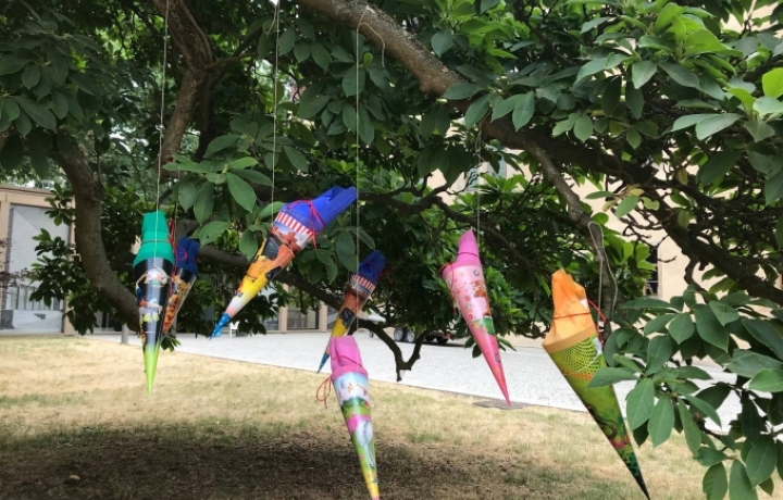Fünf Zuckertüten hängen von einem Baum herunter.