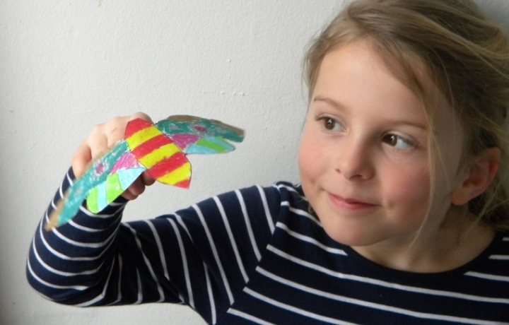 Programm "Von der Raupe zum Schmetterling"