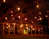 weihnachtliche Beleuchtung im Lutherhof Wittenberg