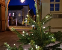Am Eingang des Lutherhofes begrüßt ein kleiner Weihnachtsbaum